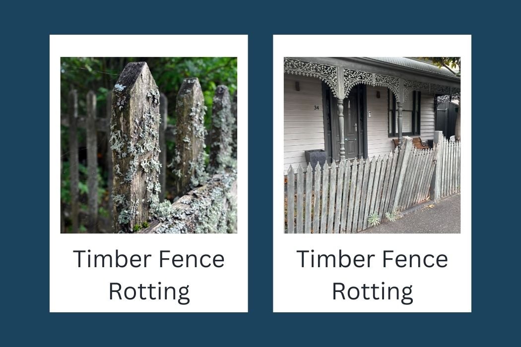 Stop Your Timber Fence Rotting
